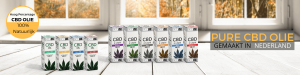 cbd-overview